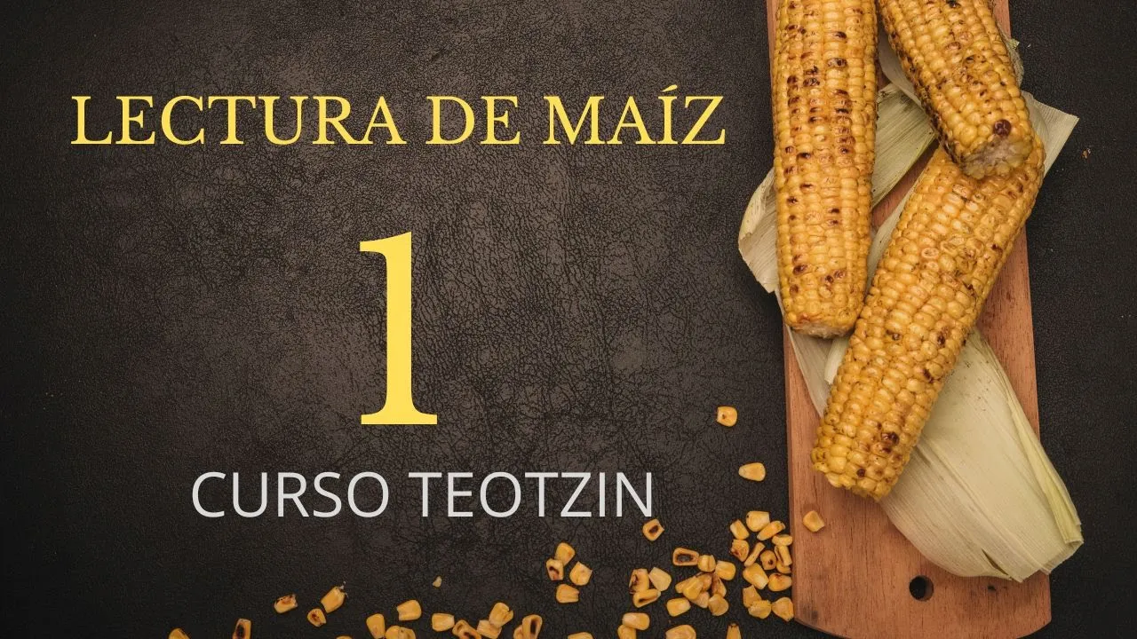 Lección 1