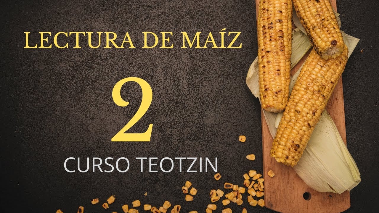 Lección 2